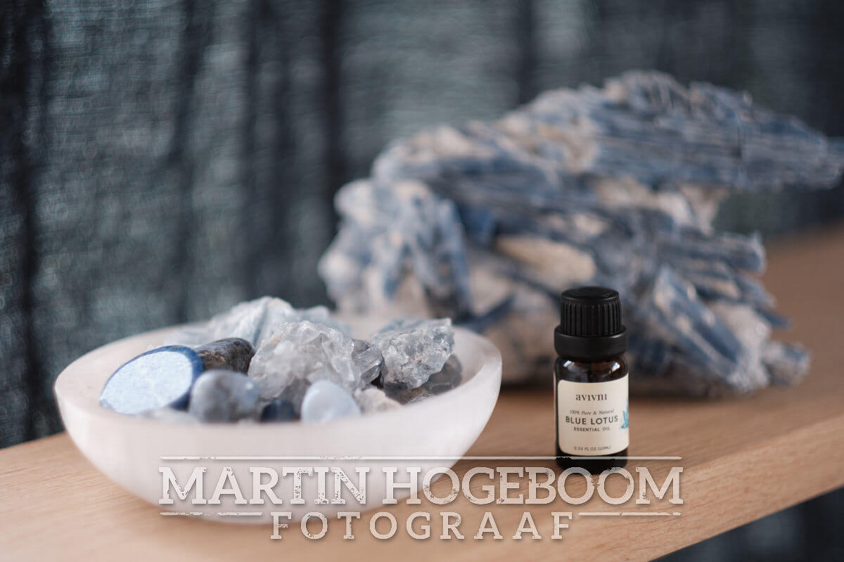 BF015__Foto_MartinHogeboom__03-10-2026